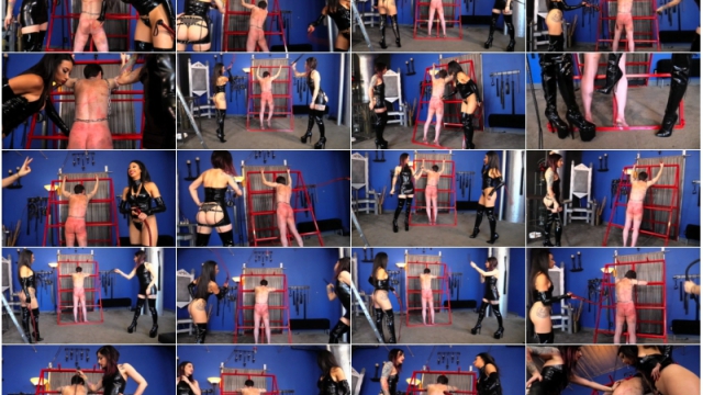 Cybill Troy FemDom Anti-Sex League – Whipped Until Broken by Cybill Troy & Mistress Tangent