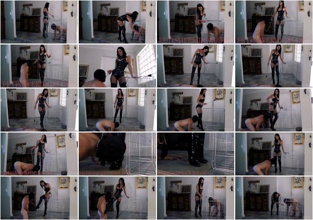 _Femdom_2018__Young_Goddess_Kim_-_Caged_Boot_bitch__Ass_Worship__Boot_Domination__Boot_Worship__Cage__Bootdom_.mp4.jpg