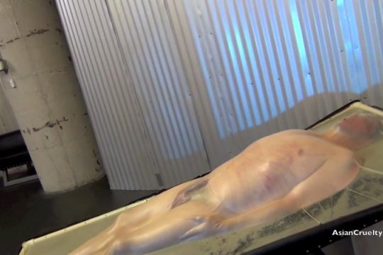 [Femdom 2019] Asian Cruelty - HELPLESSLY SUCKED INTO SUBMISSION Starring Goddess Porsche Ling [BDSM, WHIPPING, ASIAN GODDESS, RUBBER BONDAGE]