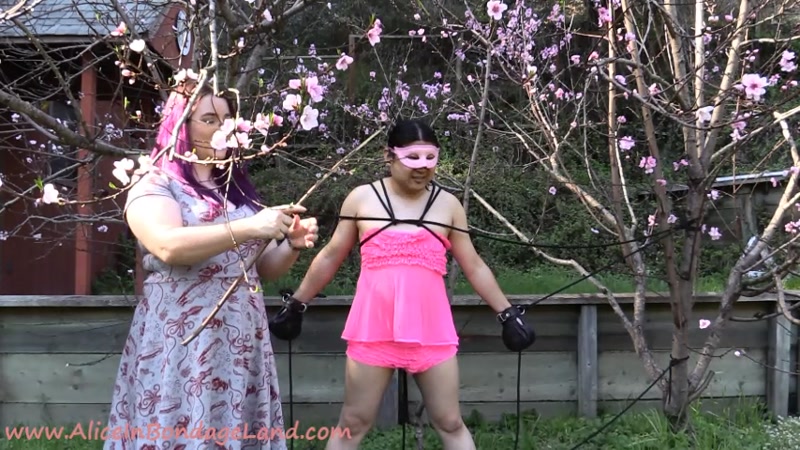 femdom sissy training how to dress & fuck
