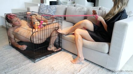Lord Maria - day 14 into chastity for this little sissy Lord_Maria_-_day_14_into_chastity_for_this_little_sissy.mp4.0002