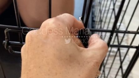 Lord Goddess Maria – Locked Submissive