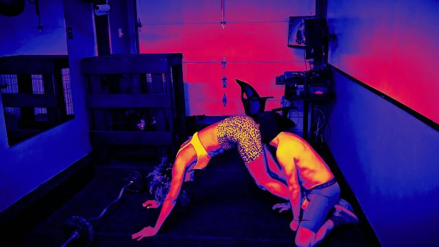 - Sweaty Ass worship Ballbusting workout with bonus farts 00000 Sweaty Ass worship Ballbusting workout with bonus farts - 00000