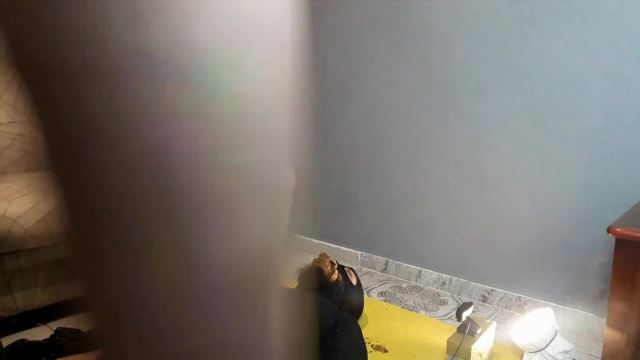 LATINA SCAT WIFE - Shitting In Mike’s Mouth 00002 LATINA SCAT WIFE - Shitting In Mike’s Mouth 00002