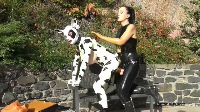 Latex Cow Inspected And Fucked Stage 2 -  00001