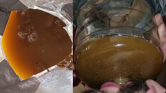 SSBBW Queen Siya - Jungle Goddess 00002 SSBBW Queen Siya - Jungle Goddess 00002