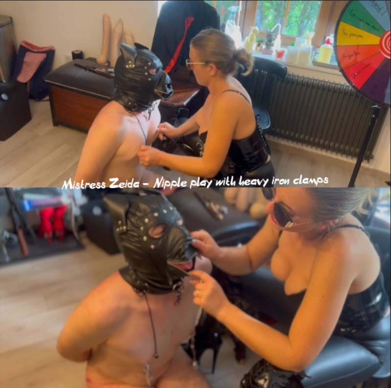 Mistress Zeida femdom bondage tape: Nipple play with heavy iron clamps