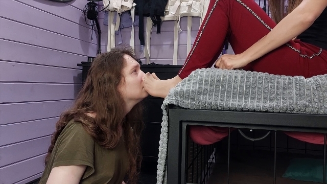 Dirty Priest Femdom Store sexy feet mistress - Footbitch training with smelly nylon socks