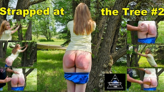 Universal Spanking and Punishments femdom spanking discipline - Strapped at the Tree 2