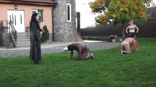 Mistress Zeida cruel mistress ballbusting: Ball Stretching Contest