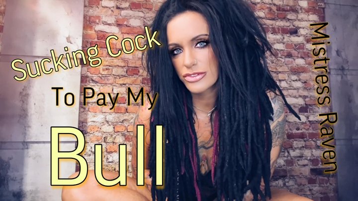 MistressRavenFD fendom pov me - SUCKING COCK TO PAY MY BULL