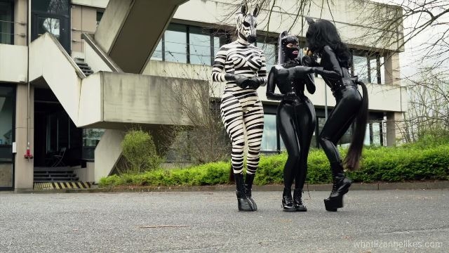 00381 – Pony tales