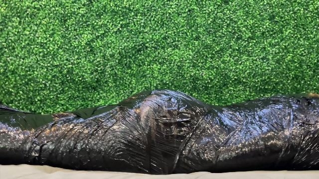 Tess NYC - What Happens In AC