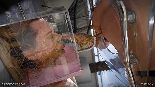 [Scat – Fboom.me] ARTOFSCAT – The Box