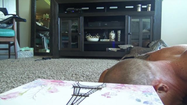 World Goddess - Louboutin licker! World Goddess - Louboutin licker!