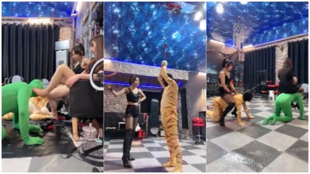 Chinese Femdom 15786