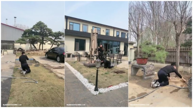 Chinese Femdom 17141